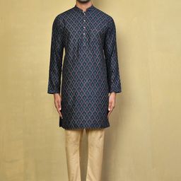 Arihant Rai Sinha Men Printed Regular Pure Cotton Kurta with Pyjamas-picture-45