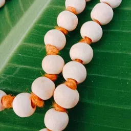Divine souvenirs Unisex Artificial Beaded Minimal Chain image 2