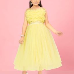 BAESD Girls Round Neck Self Design Net Fit And Flare Dress-picture-36