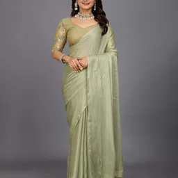 Aardiva Sequinned Embroidered Saree-picture-22