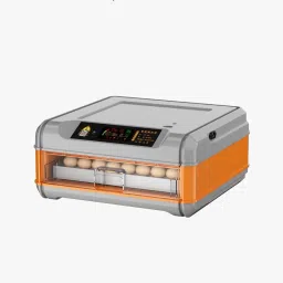 Family use Mini Egg incubator with roller egg tray,incubators Egg Incubator-picture-11