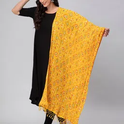 Aditi Wasan Ethnic Motif Printed Dupatta image 5