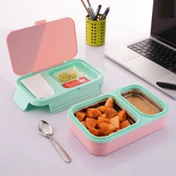 2 Compartment Stainless Steel Lunch Box for School with Steel Spoon 2 Containers Lunch Box-image-3