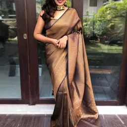 HANDSEL Woven Design Zari Pure Silk Banarasi Saree-picture-38