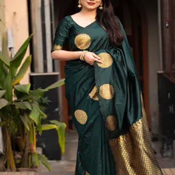 Sitanjali Ethnic Motifs Zari Woven Chanderi Saree-24
