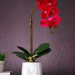 Myntra Elegant Homes White 1 Pieces Orchid Artificial Plant With Pot-image-72
