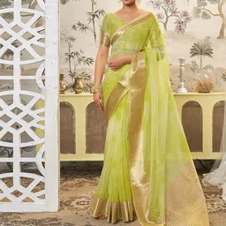 DIVASTRI Zari Organza Banarasi Saree-image-95