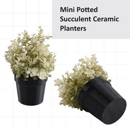 Kuber Industries Black & Green 2 Pieces Artificial Plants With Pots image 5