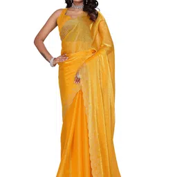 Indian Fashionista Embellished Beads and Stones Organza Saree-picture-8