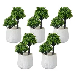 Kuber Industries White & Green 5 Pieces Artificial Plants With Pot-10