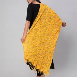 Aditi Wasan Ethnic Motif Printed Dupatta image 2
