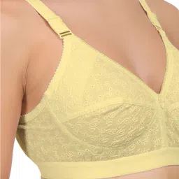 Eve's Beauty Pack Of 2 Assorted Full Coverage Minimizer Bra With Side Shaper image 5