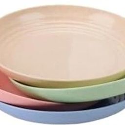 lightweight & unbreakable dinner plates set of 8 Sizzler Tray-17