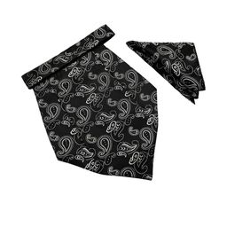 Paisley Design Cravats & Pocket Square Combo-image-52