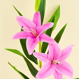 Interiors & More Purple Artificial Flowers and Plants-image-71