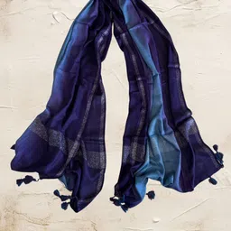Dupatta Bazaar Women Tasselled Stole-53