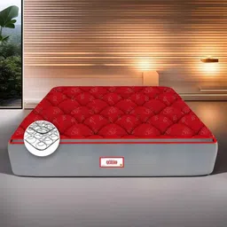 COIRFIT Red Printed Anti-Bacterial Bonnell Spring Single Mattress-picture-16