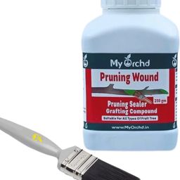 Pruning Sealer Tree Wound Sealer & Protector for Bonsai, Fruit Trees Garden Tool Kit-image-33