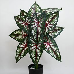 Blooming Floret Green Codiacum Artificial Plant With Pot-55