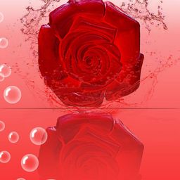 The Bath Stories Set Of 2 Red Wine Soap For Moisturizing With Coconut Oil - 90 g Each image 3