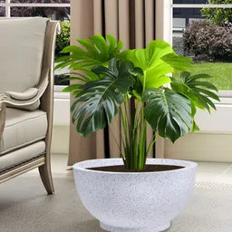 RUBOXA Marble Lotus White UV-Protected Planters-23