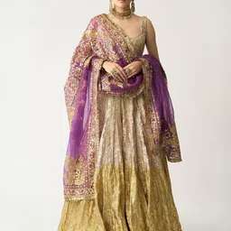 ITRH Embellished Sequinned Ready To Wear Lehenga & Blouse With Dupatta-picture-13