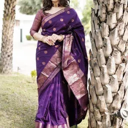 Visit Wear Woven Design Zari Pure Silk Banarasi Saree-image-37