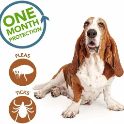 medfly Parashield Plus Spot On Solution for Ticks and Fleas -Dog Over 10 kg up to 20 kg 1.34 ml Pet Coat Cleanser image 3