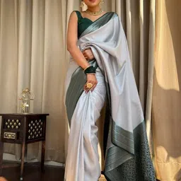 ZILVIRA Ethnic Motifs Woven Design Zari Banarasi Saree-picture-40