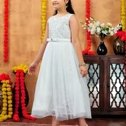 Aarika Net Fit & Flare Maxi Dress image 3