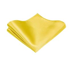 VOICI Solid Yellow Pocket Squares-image-94