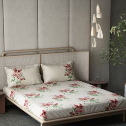 DDecor Red & Biege Floral 144 TC Pure Cotton Queen Bedsheet with 2 Pillow Covers-image-41