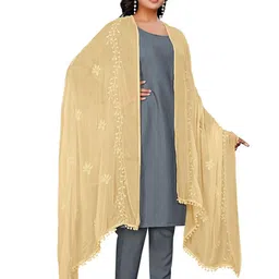 Kemza Ethnic Motifs Embroidered Thread Work Chiffon Dupatta-picture-30