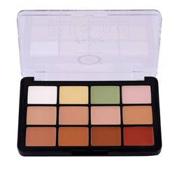 Fashion Colour Perfect Blend 12 Shades Concealer Palette - FCPC01-27