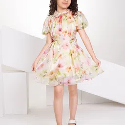Peppermint Floral Print Satin A-Line Dress-image-89