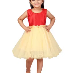 BAESD Net Fit & Flare Dress-61