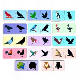 Birds Matching Shadow 2 Piece Puzzle-image-33