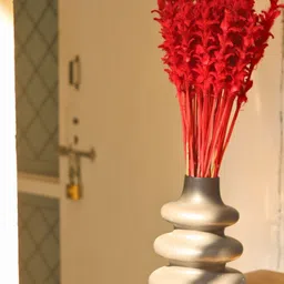 WEAVING HOMES Dried Red Ginger Flower-image-36