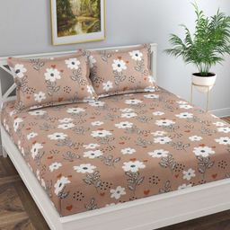 Florida Camel Brown & White Floral King Bedsheet with 2 Pillow Covers-picture-14
