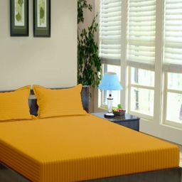 Trance Home Linen Mustard Striped Pure Cotton 200 TC Queen Bedsheet Set-1.98 m x 1.52 m-image-32