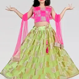 BAESD Girls Embroidered Ready to Wear Lehenga & Blouse With Dupatta-picture-54