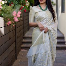 BerMondsey Woven Design Zari Banarasi Saree-image-94