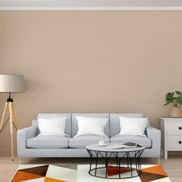 Sapana Carpet-Mats Beige Geometric Anti-Skid Nylon Carpet-picture-37