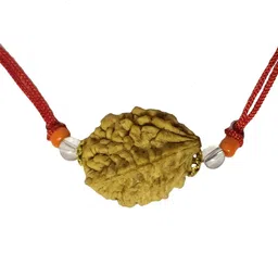 Divine Souvenirs Threaded Rudraksha Pendant-image-92