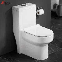 Platinum Ceramic /Water Closet/With Soft Close Toilet Seat 1004 Western Commode-image-72