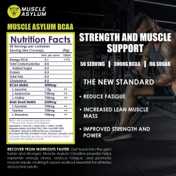 muscle asylum BCAA - with BRAIN BOOSTERS -100% Micronized Vegan, Recovery, Memory, Focus BCAA image 3