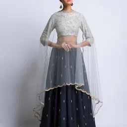 Payal Singhal Embroidered Beads and Stones Ready to Wear Lehenga & Blouse With Dupatta-picture-14