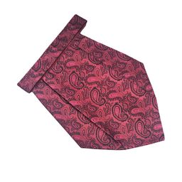 Paisley Design Cravats-image-92