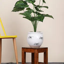 FOLIYAJ Green 1 Pieces Philodendron Artificial Plant-16