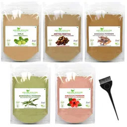 Shudh Online Set Of 5 Amla, Reetha, Bhringraj, Shikakai & Hibiscus Powder - 100 g Each-19
